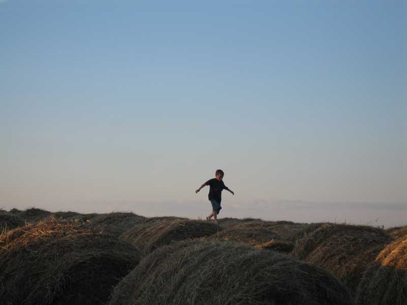 Grant on haystacks